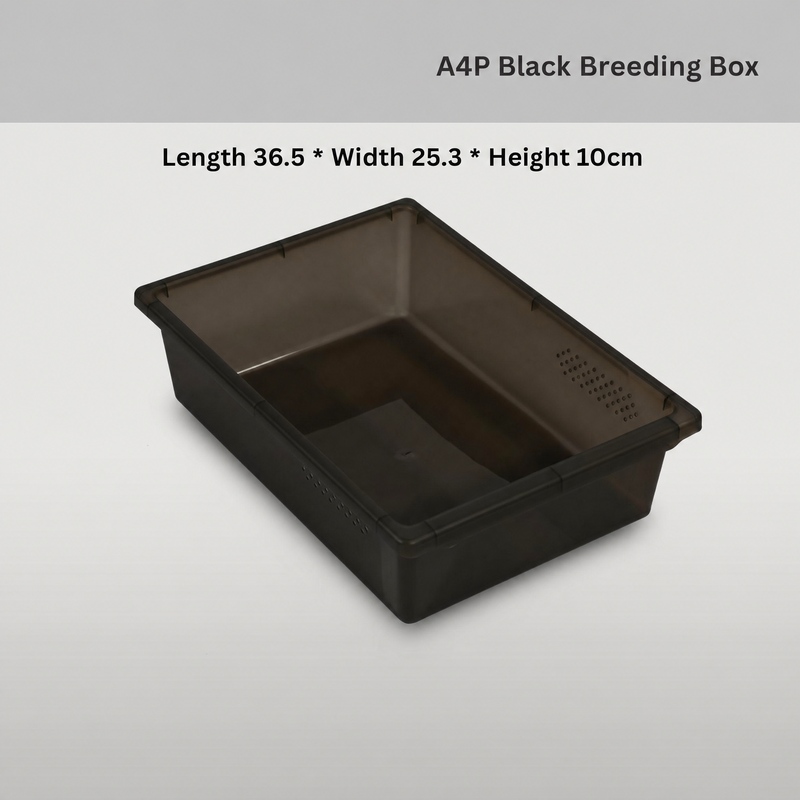 A4P A Series wholesale product detail — view 3