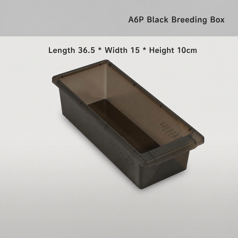 A6P A Series wholesale product detail — view 3