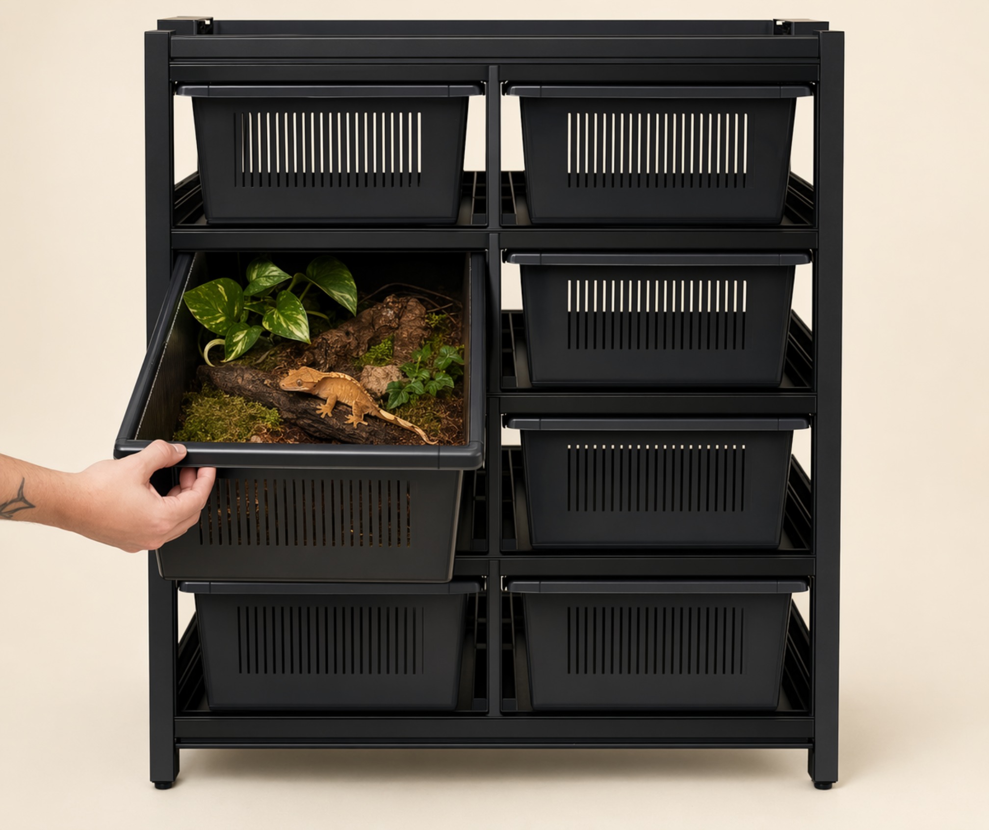 Professional reptile rack systems by Stellar Start - modular stackable wholesale racks for snake breeders and reptile facilities