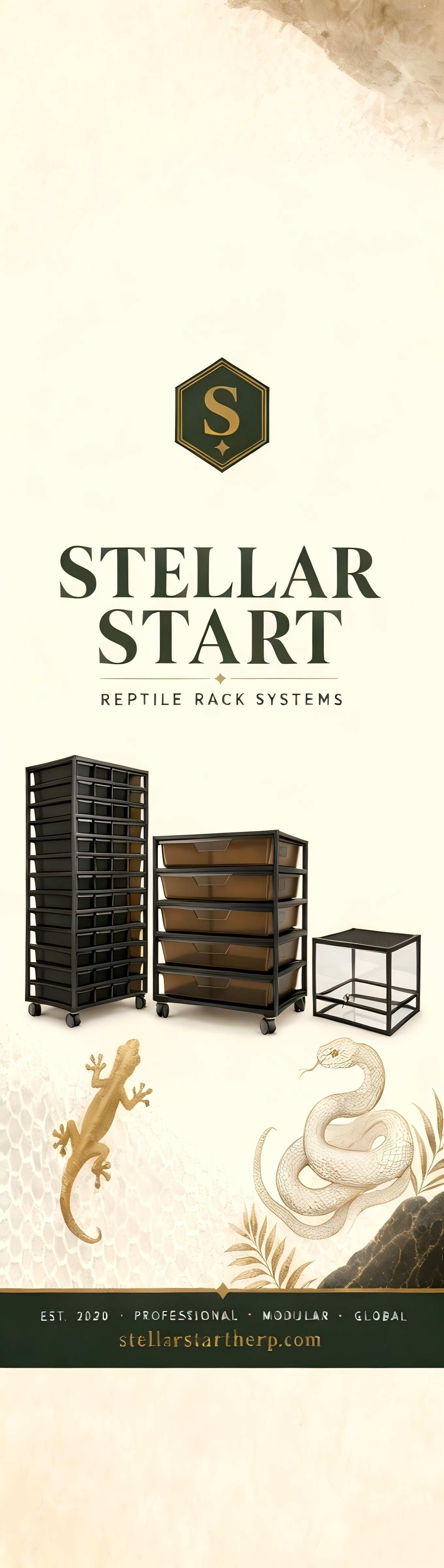 Stellar Start brand identity - professional B2B reptile rack manufacturer since 2020