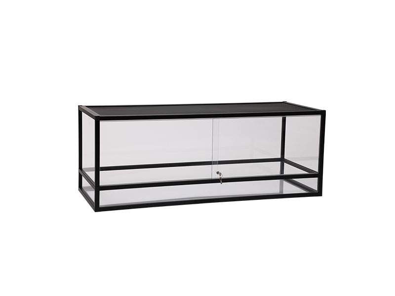 RS Glass 120