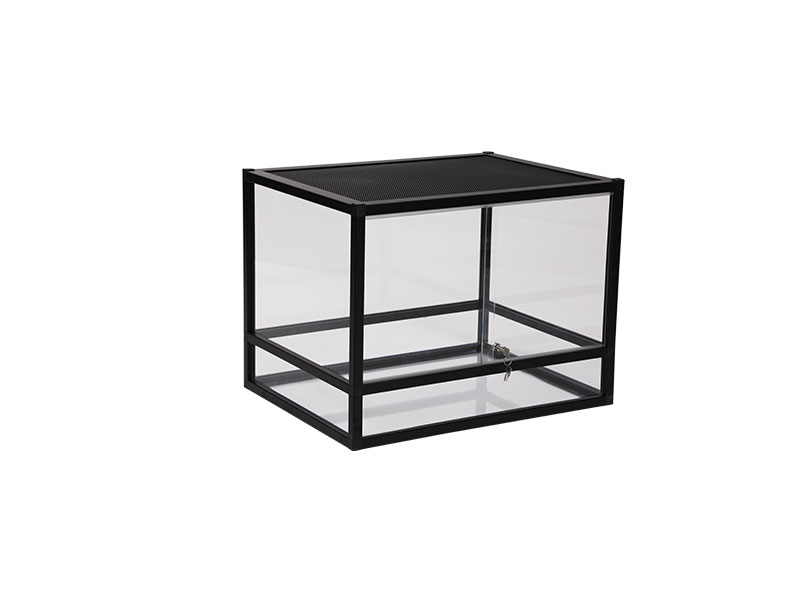 RS Glass 60