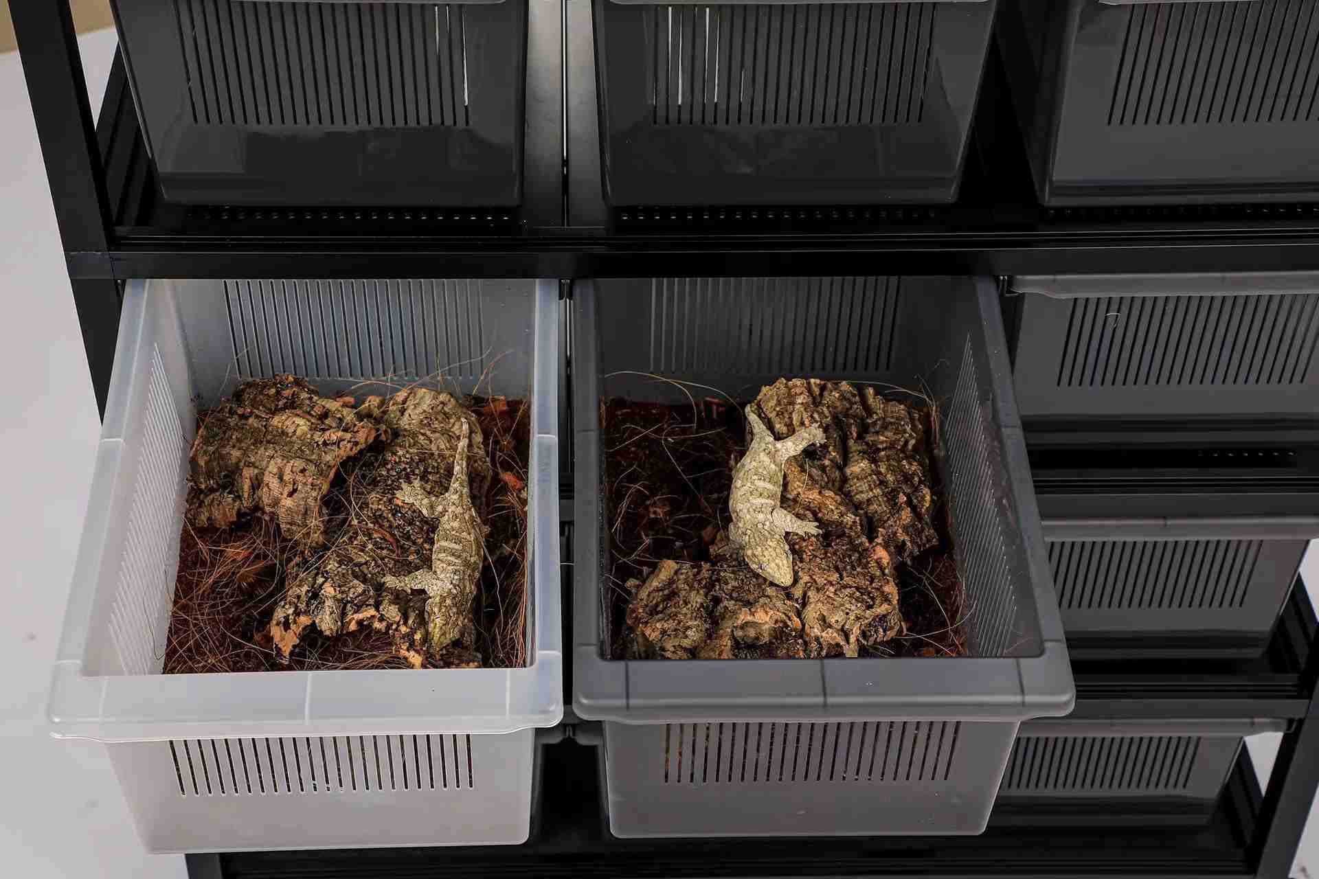 Forest Floor Substrates wholesale product detail — view 2