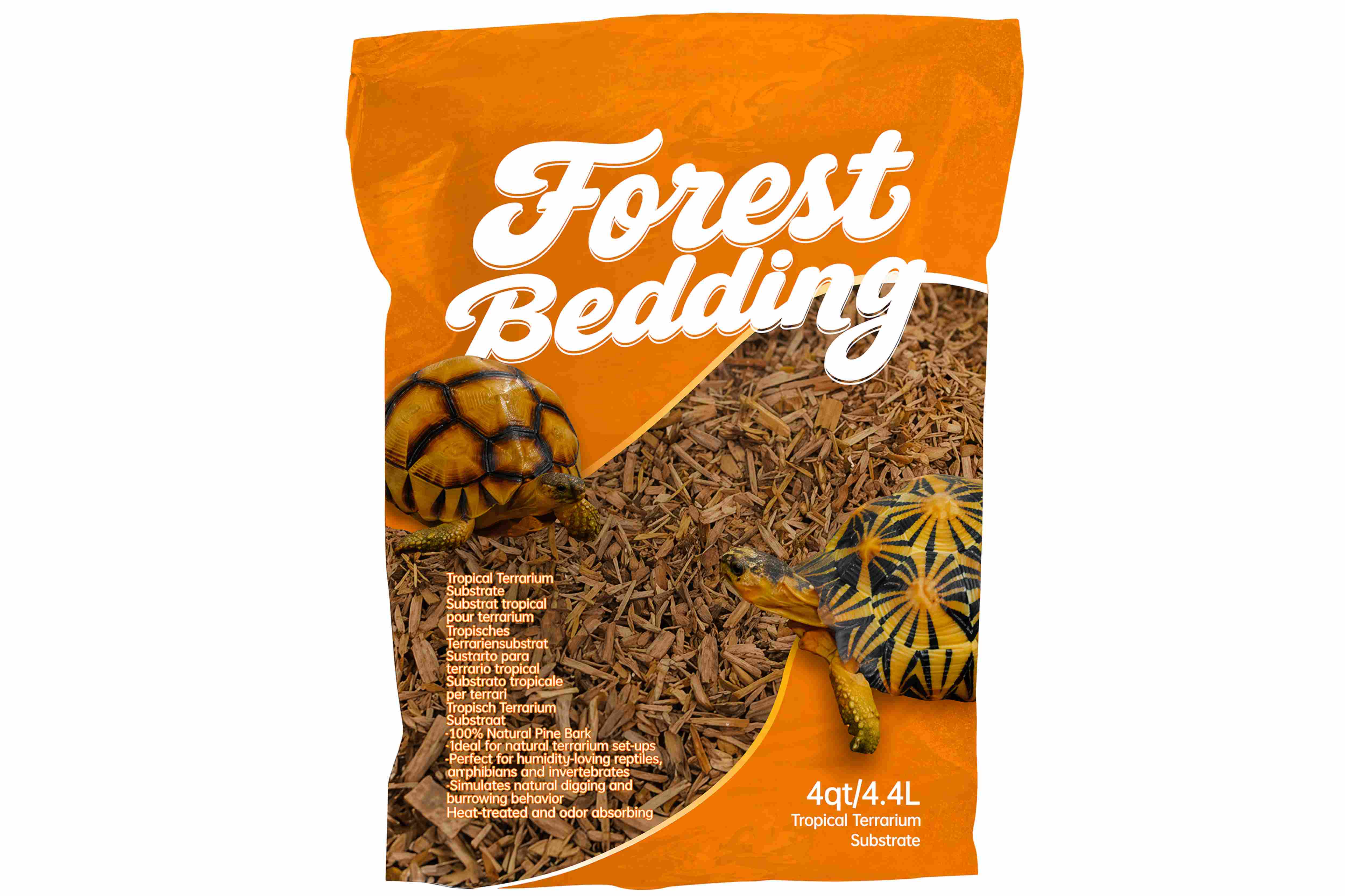 Forest Floor